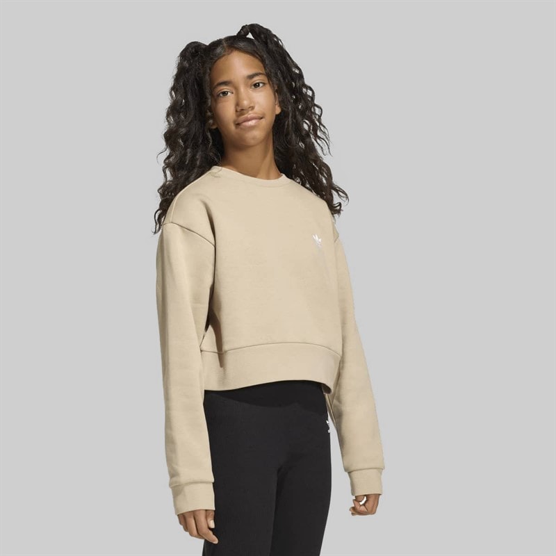 Junior Girls Trefoil Boxy Sweatshirt Stone Khaki - Image 2