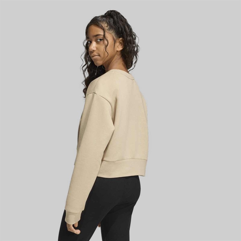 Junior Girls Trefoil Boxy Sweatshirt Stone Khaki - Image 3