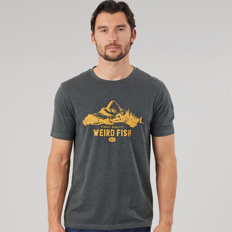 Weird Fish Mens Mountain Graphic T-Shirt Washed Black