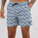Mens Swim Shorts Assorted