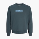 Boys Munk Sweatshirt Turbulence