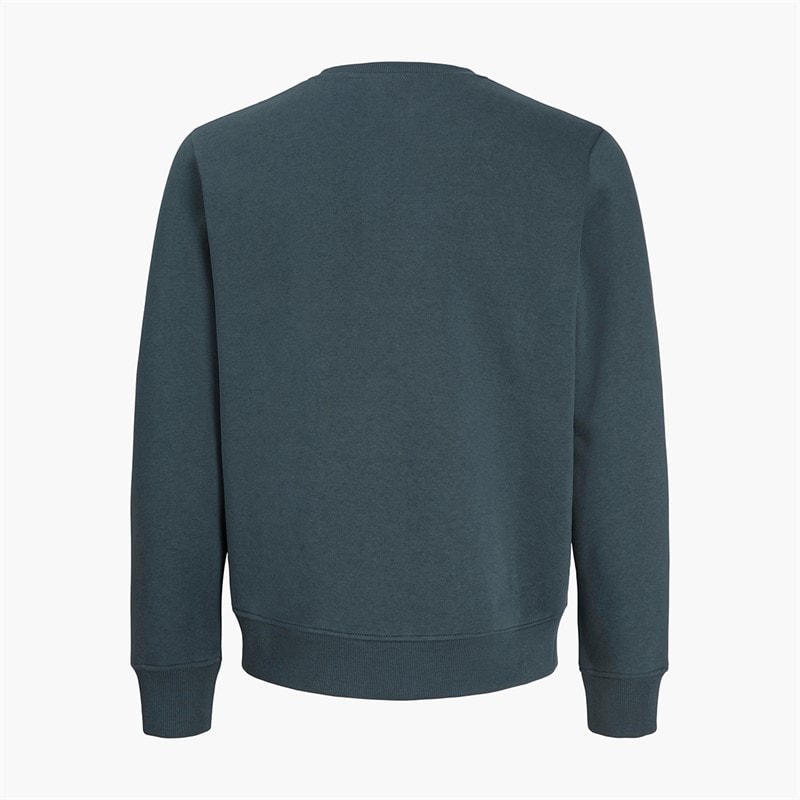 Boys Munk Sweatshirt Turbulence - Image 2