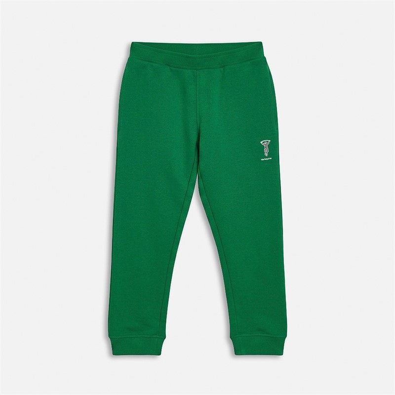 Castore Kids HFC Harlequins Rugby Sweatshirt Set Abundant Green - Image 3
