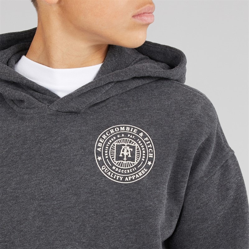Abercrombie & Fitch Boys Hoodie Anf Anthracite Heather - Image 5