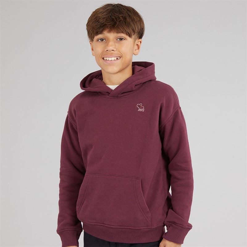 Abercrombie & Fitch Boys Essentials Hoodie Fig - Image 3