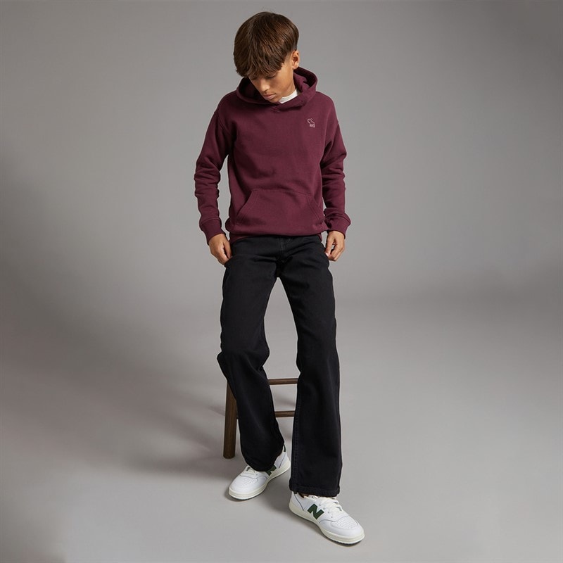 Abercrombie & Fitch Boys Essentials Hoodie Fig - Image 4