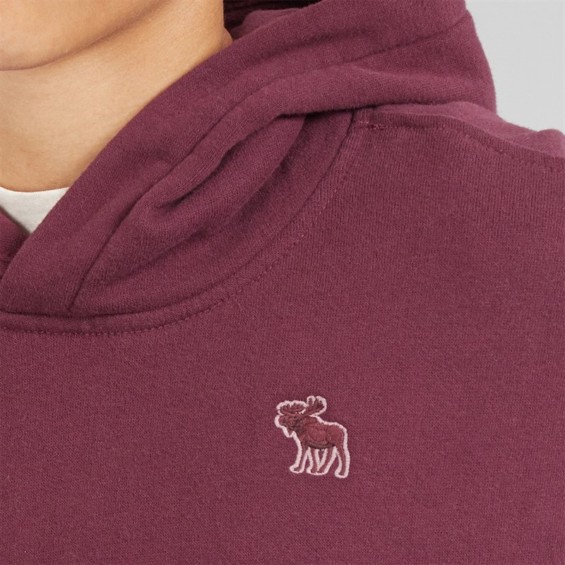 Abercrombie & Fitch Boys Essentials Hoodie Fig - Image 5