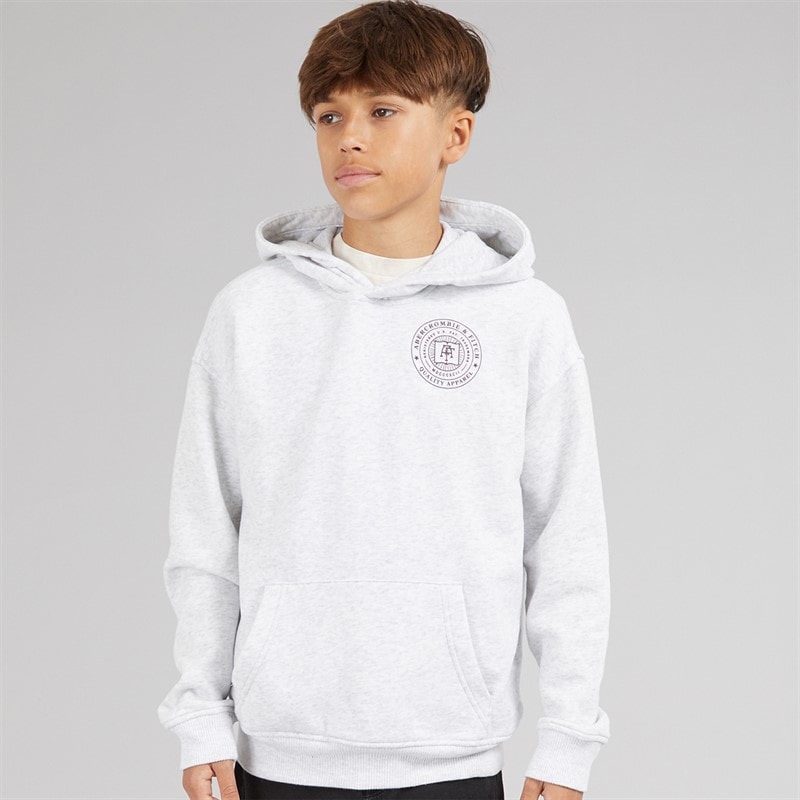 Abercrombie & Fitch Boys Hoodie Anf Light Grey Heather - Image 2