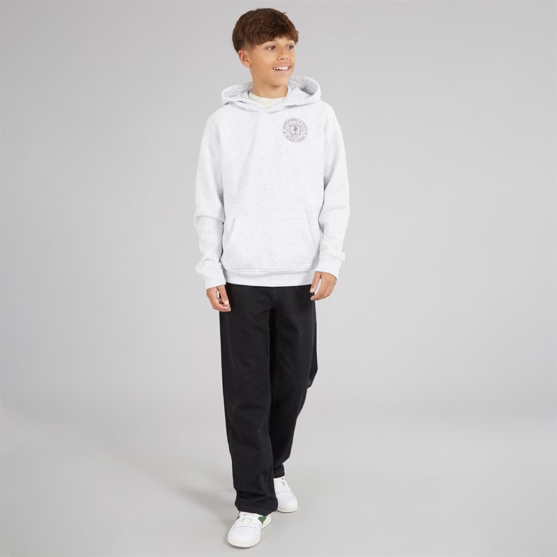 Abercrombie & Fitch Boys Hoodie Anf Light Grey Heather - Image 4