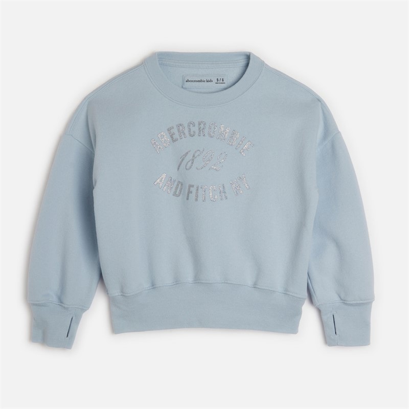 Abercrombie & Fitch Girls Rose Bouquet Sweatshirt Skyway