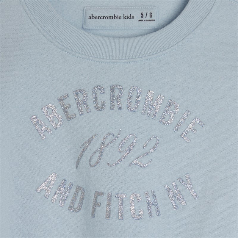 Abercrombie & Fitch Girls Rose Bouquet Sweatshirt Skyway - Image 2