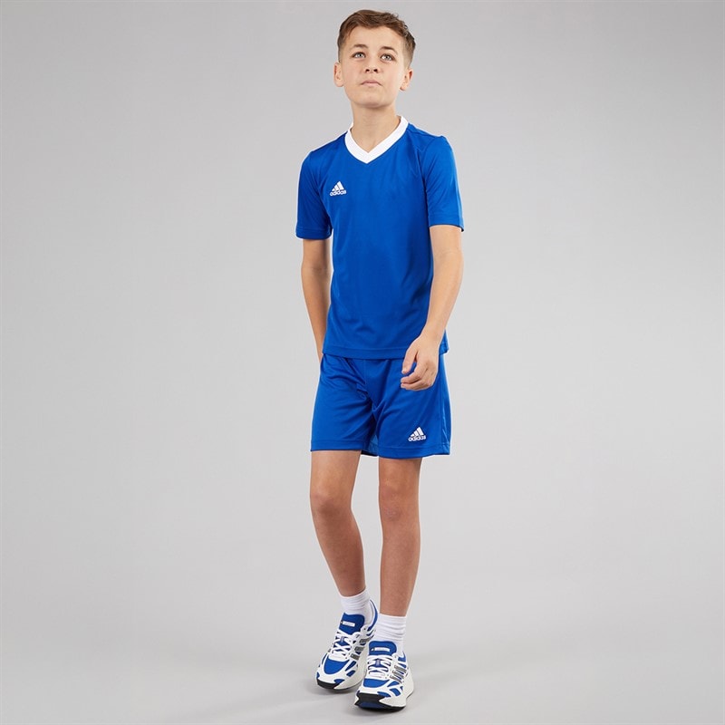 adidas Junior Entrada 22 Shorts Team Royal Blue - Image 4