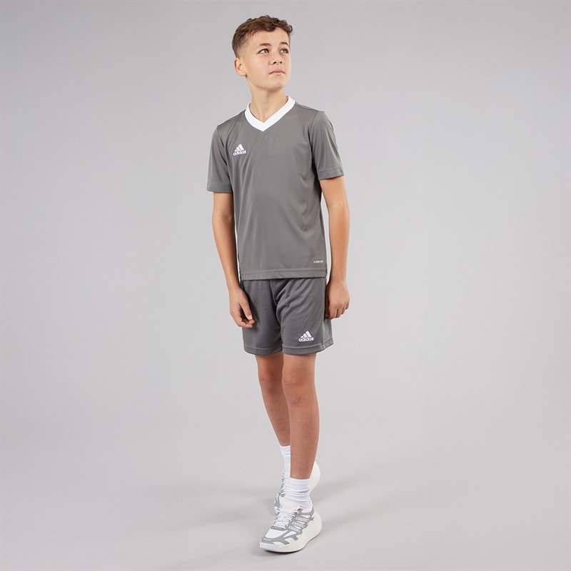 adidas Junior Entrada 22 T-Shirt Team Grey Four - Image 4