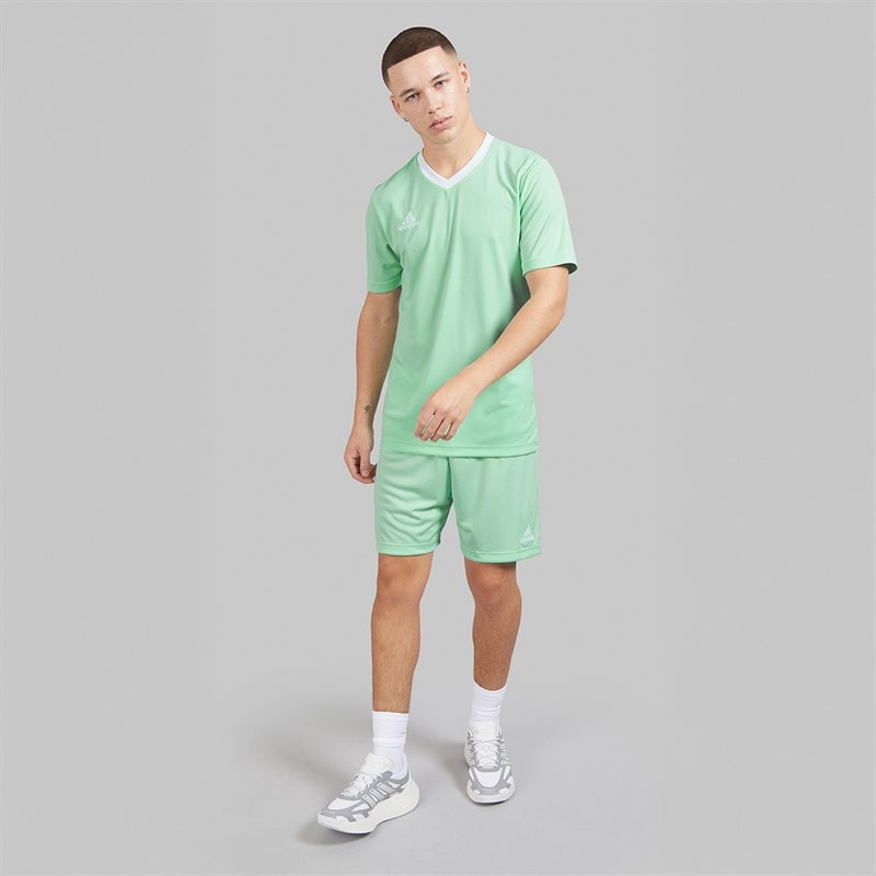 adidas Mens Entrada 22 T-Shirt Clear Mint - Image 4