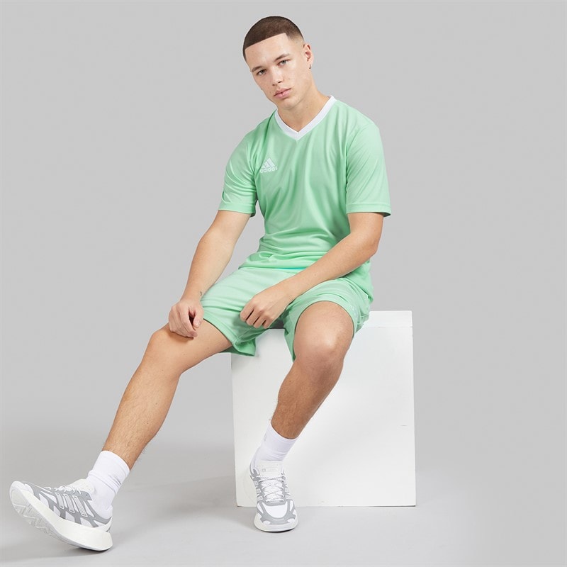 adidas Mens Entrada 22 T-Shirt Clear Mint - Image 5