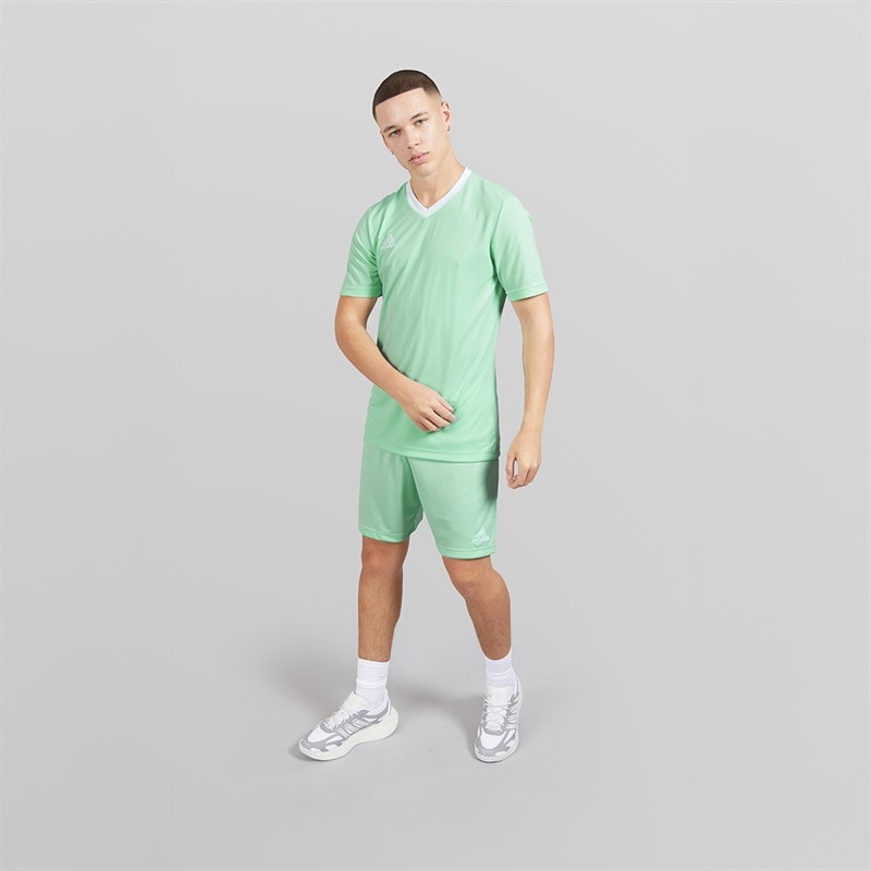 adidas Mens Entrada 22 Shorts Clear Mint - Image 4