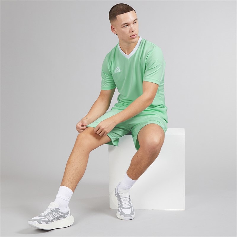adidas Mens Entrada 22 Shorts Clear Mint - Image 5