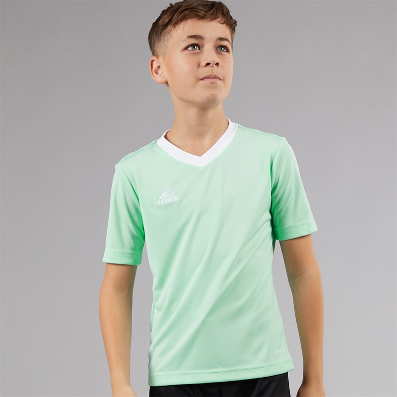 adidas Junior Entrada 22 T-Shirt Clear Mint