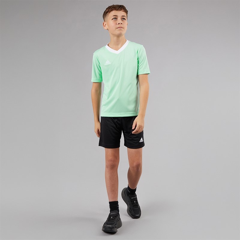 adidas Junior Entrada 22 T-Shirt Clear Mint - Image 4