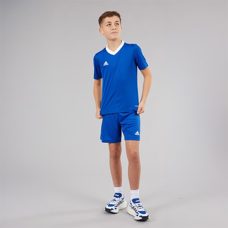 adidas Junior Entrada 22 T-Shirt Team Royal Blue - Image 4