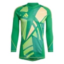adidas Mens Tiro 24 Pro Long Sleeve Goalkeeper Jersey Team Green