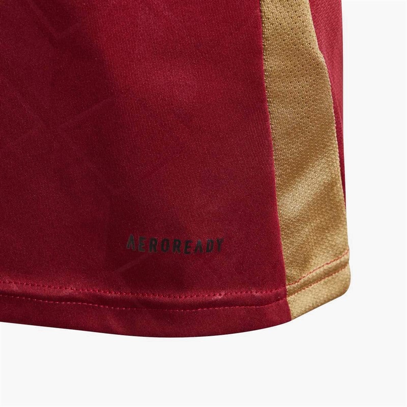 adidas Junior RBFA Belgium 2024 Home Jersey Tech Copper Blue - Image 4