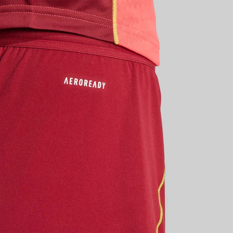 adidas Womens DFB Germany Tiro 25 Pro Training Shorts Team Coll Burgundy - Image 4