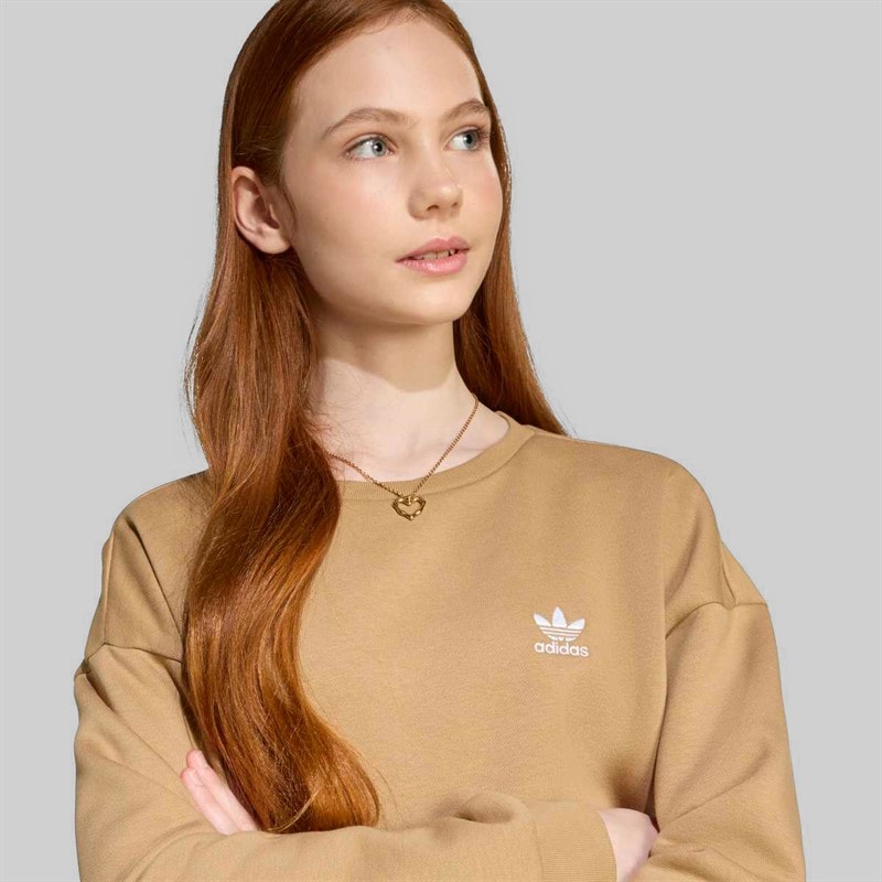 adidas Originals Junior Girls Trefoil Logo Boyfriend Fit Sweatshirt Cardboard - Image 3