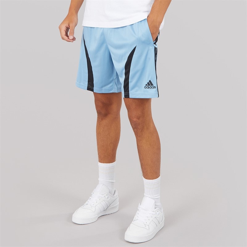 adidas Originals Mens Adicolor Teamgeist Shorts Ash Blue/Black
