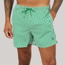 Calvin Klein Mens Swim Shorts Penny Stripe/Mardi Gras Green