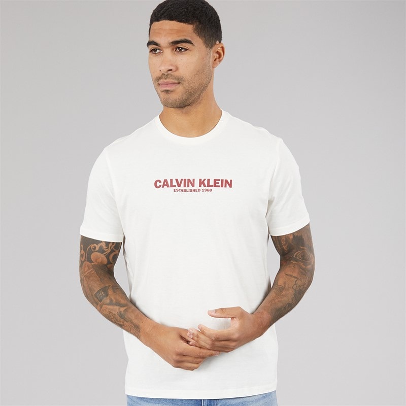 Calvin Klein Mens Short Sleeve Graphic T-Shirt White Greige