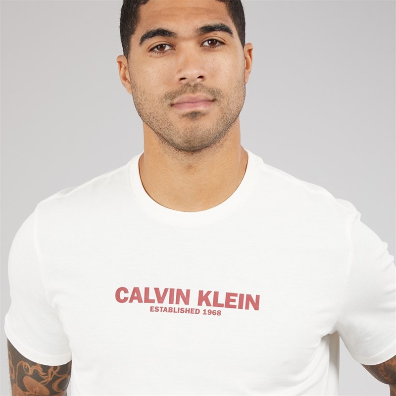 Calvin Klein Mens Short Sleeve Graphic T-Shirt White Greige - Image 3