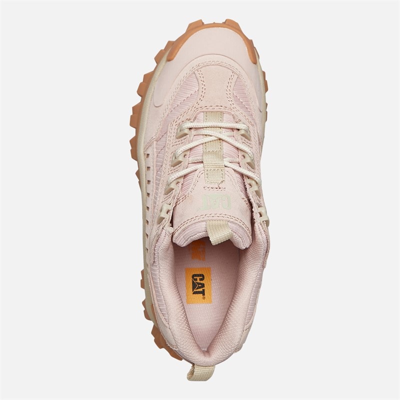 Caterpillar Womens Intruder Shoes Cameo Rose - Image 4