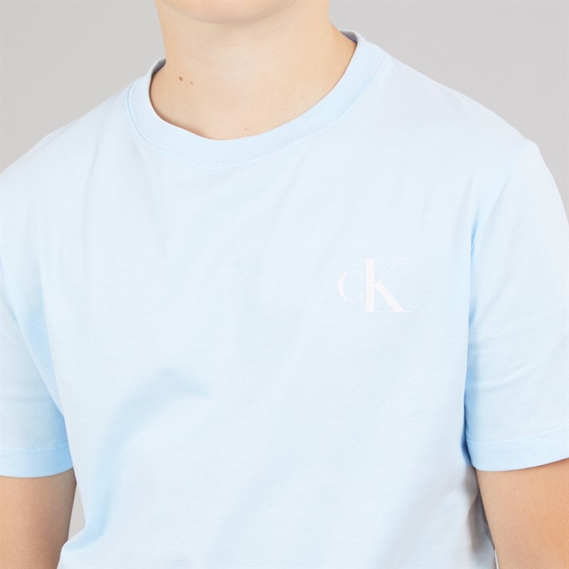 Calvin Klein Jeans Boys Two Pack T-Shirts Tigers Eye F&T Tigers Eye - Image 3