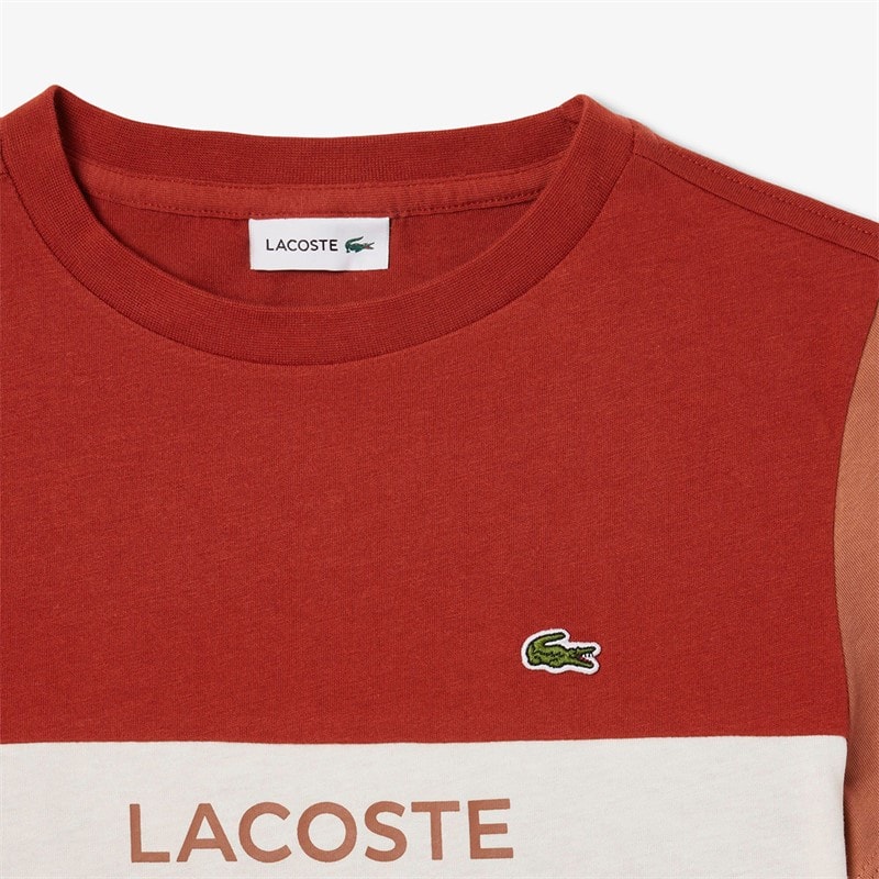 Lacoste Boys T-Shirt Iberis/Piste/Laponie Iberis/Piste-Laponie - Image 3