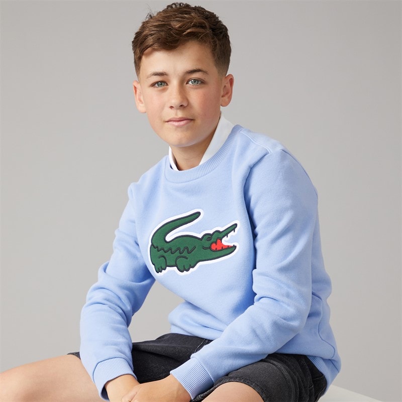 Lacoste Boys Sweatshirt Delphinium