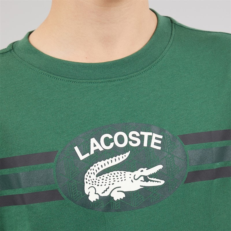 Lacoste Boys T-Shirt Vert - Image 3