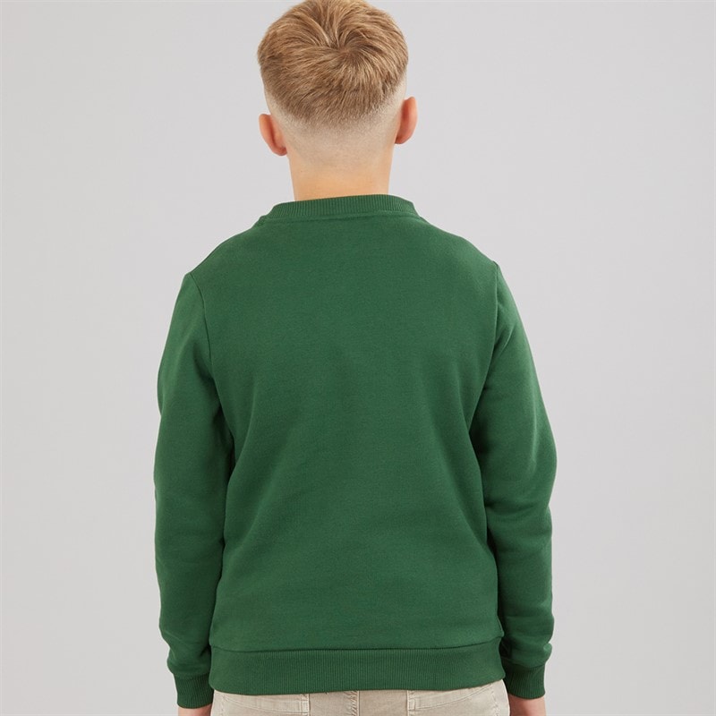 Lacoste Boys Chenille Sweatshirt Vert - Image 2
