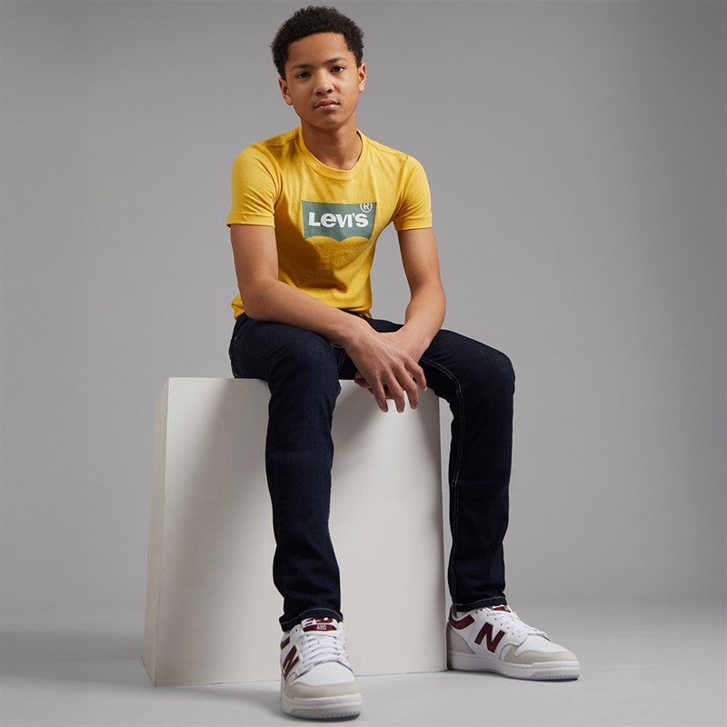 Levi's Boys 510 Skinny Fit Jeans Twin Peaks - Image 4