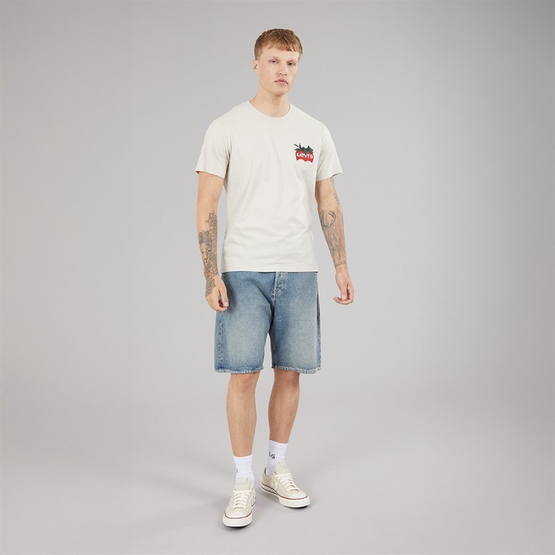 Levi's Mens Relaxed Fit T-Shirt Coastal Creative Fresh And Smooth Pumice Stone - Image 4