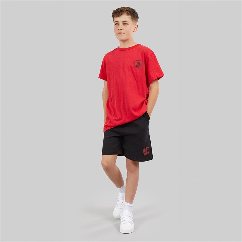 French Connection Boys Heritage T-Shirt And Shorts Set Red/Black - Image 4