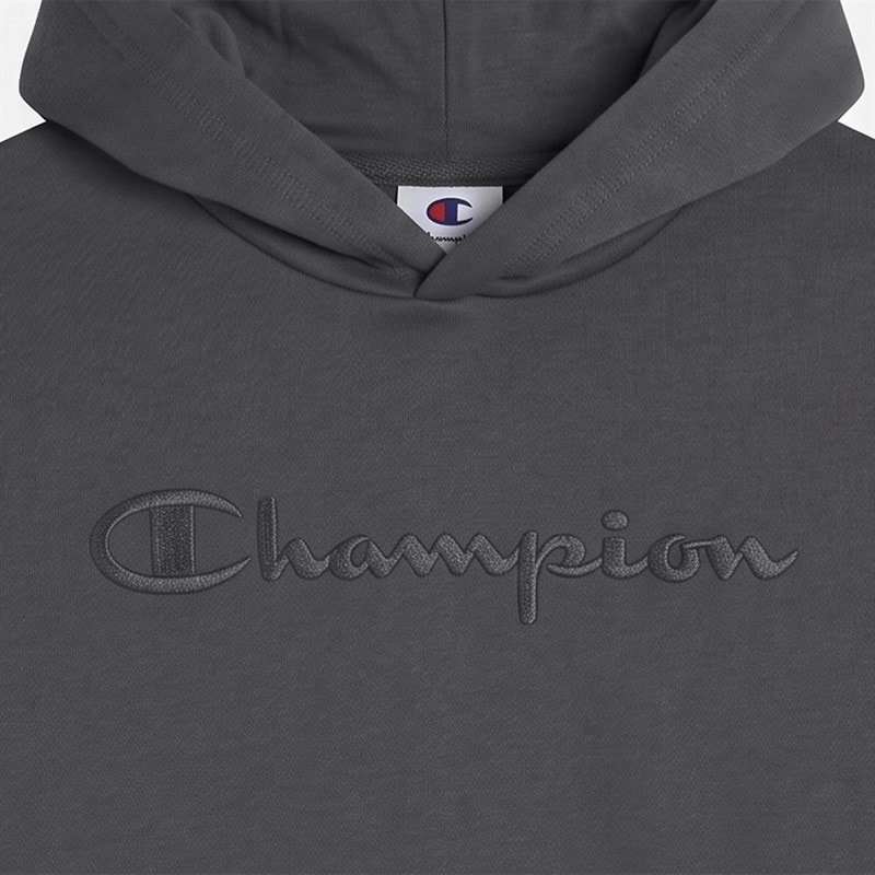 Champion Junior Icons Tonal Logo Hoodie Flint Grey - Image 2