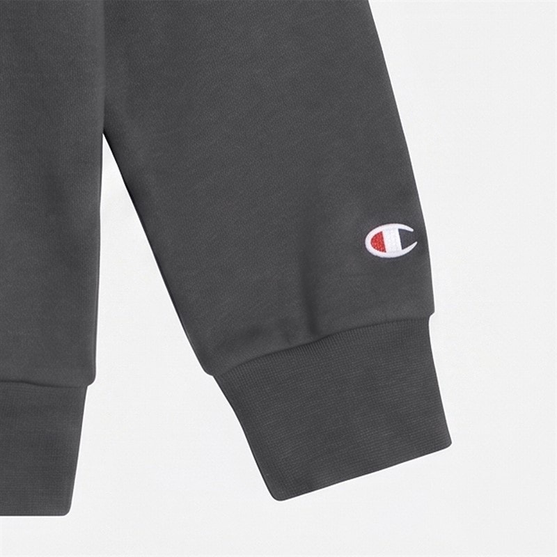 Champion Junior Icons Tonal Logo Hoodie Flint Grey - Image 3