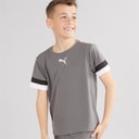 Puma Boys teamRISE Training Jersey Smoked Pearl/Puma Black/Puma White