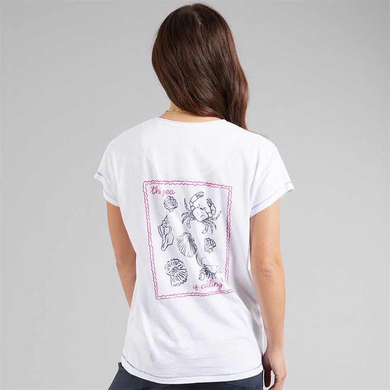 Weird Fish Womens Seashells T-Shirt White - Image 3