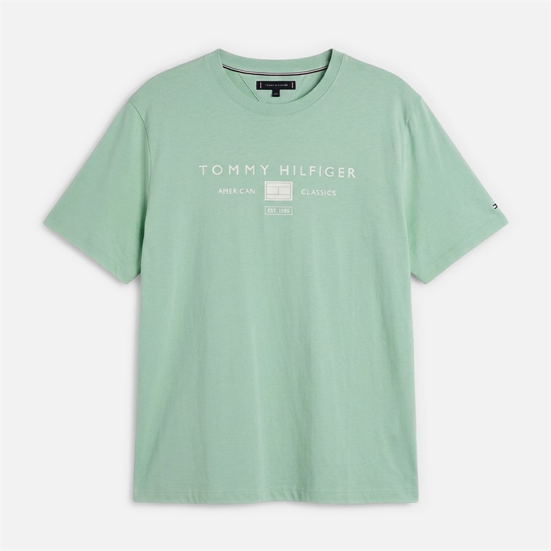 Tommy Hilfiger Mens Plus Brand Love T-Shirt Crushed Mint