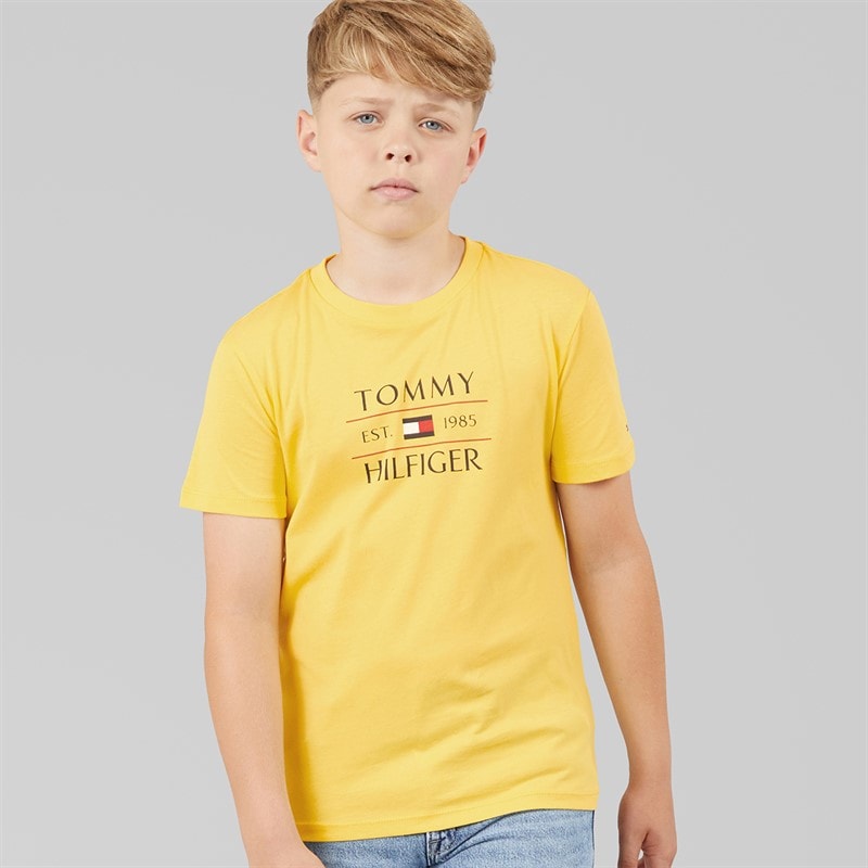 Tommy Hilfiger Boys Tommy Flag T-Shirt Citronella - Image 1