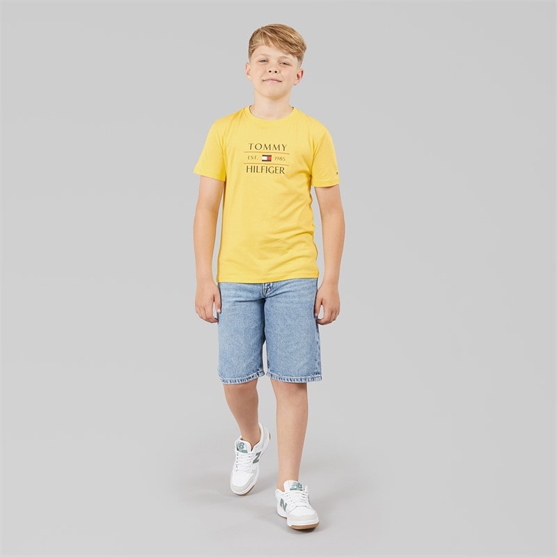 Tommy Hilfiger Boys Tommy Flag T-Shirt Citronella - Image 3