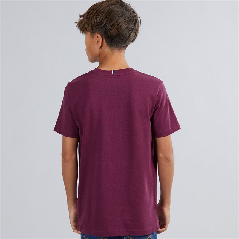 U.S. POLO ASSN. Boys DHM T-Shirt Grape Wine - Image 2