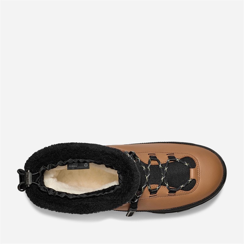 UGG® Mens Shasta Mid Boots Chestnut - Image 5